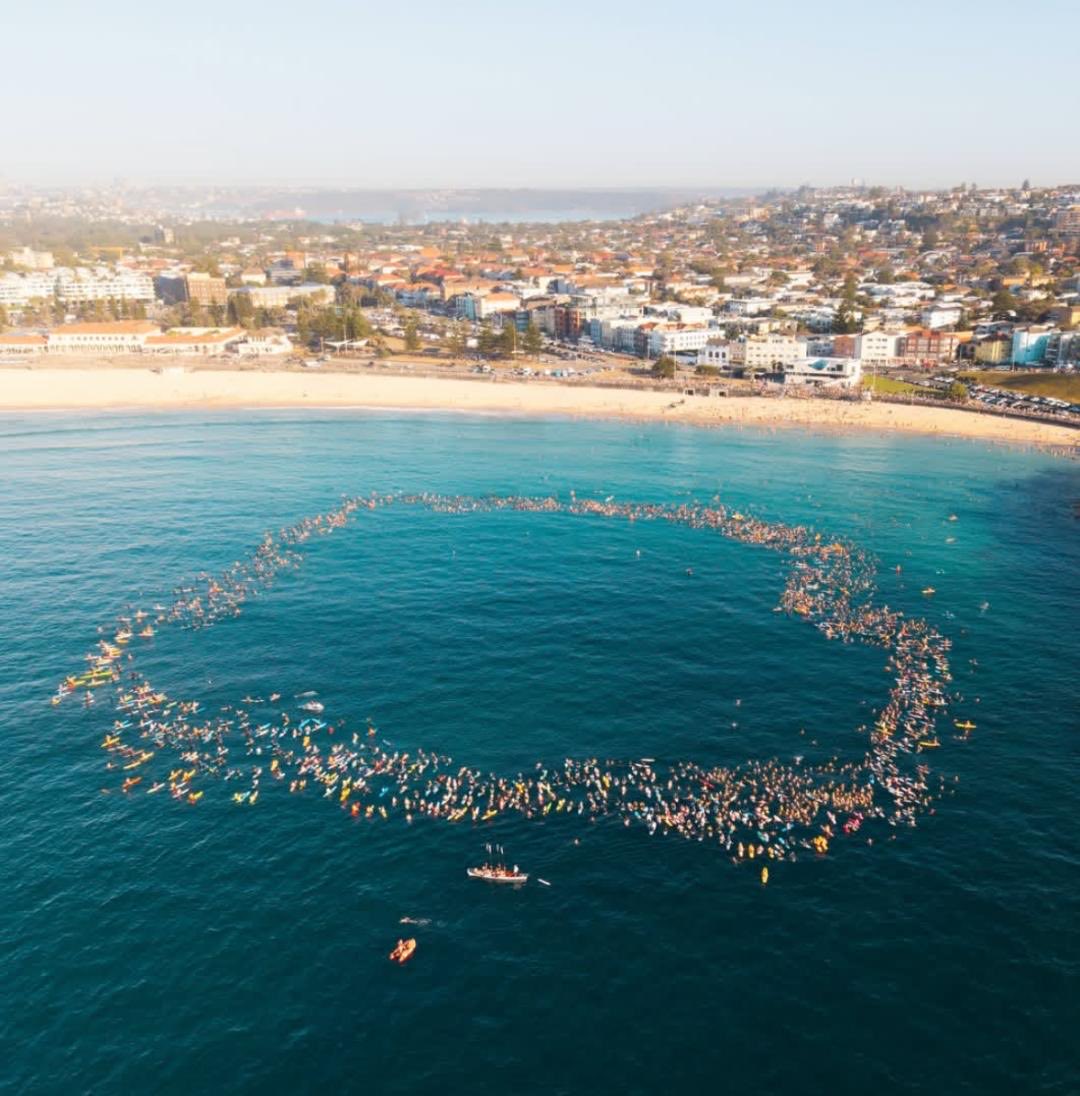 MikeCarlton01's tweet image. This was magnificent…