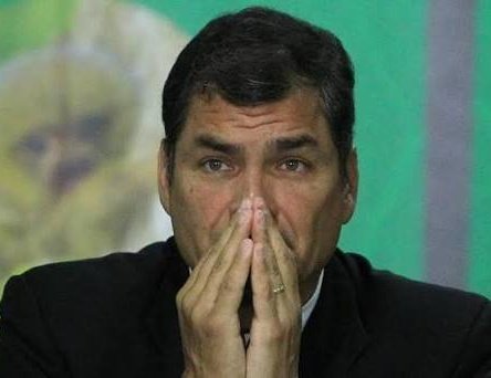 Juan Guayaco tweet media