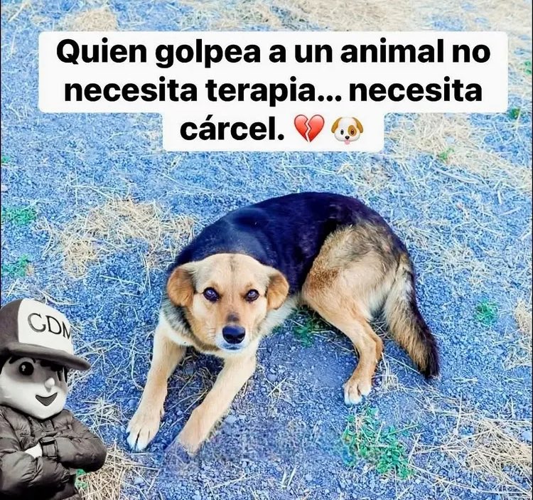 Que mensaje mas cierto!!!  Cuando lo entenderán las autoridades? Siempre dejando libre a los maltratadores….una vergüenza 🙈 RT @GobiedeChile