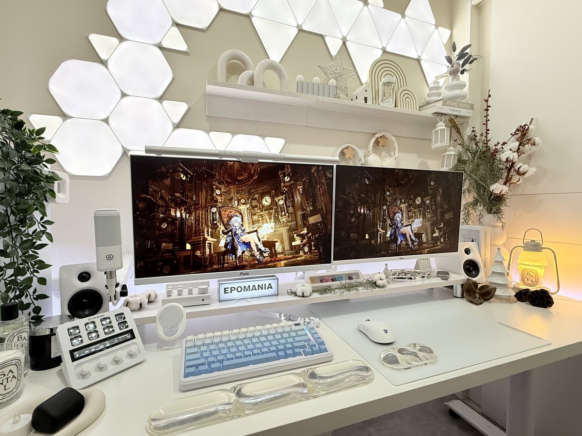 Chiinee22's tweet image. 久々にデスク写真🌿

この壁紙だと色の発色が全然違うのが分かる…やっぱ同じにしたい🥹
どうしても気になるから
来年はモニターを新調しようかな！
それにしても寒い❅☃ꊛ໋̝

#desksetup