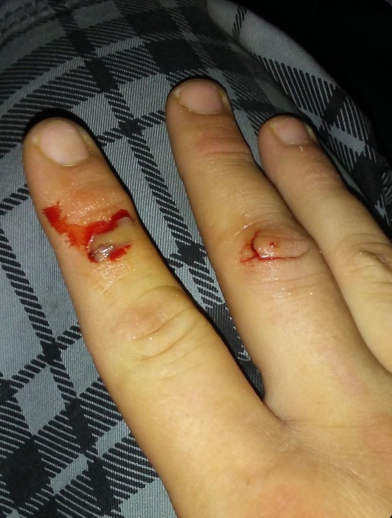 Phoeni𝕏 2A 🇺🇸 tweet media