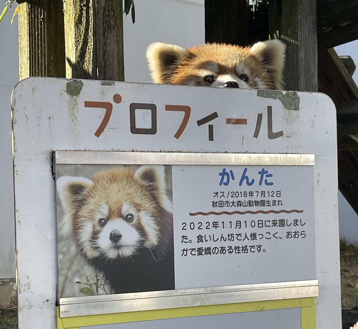 つっち～♪@レサパン溺愛中(♡˙︶˙♡) (@LMystar238) / Posts / X