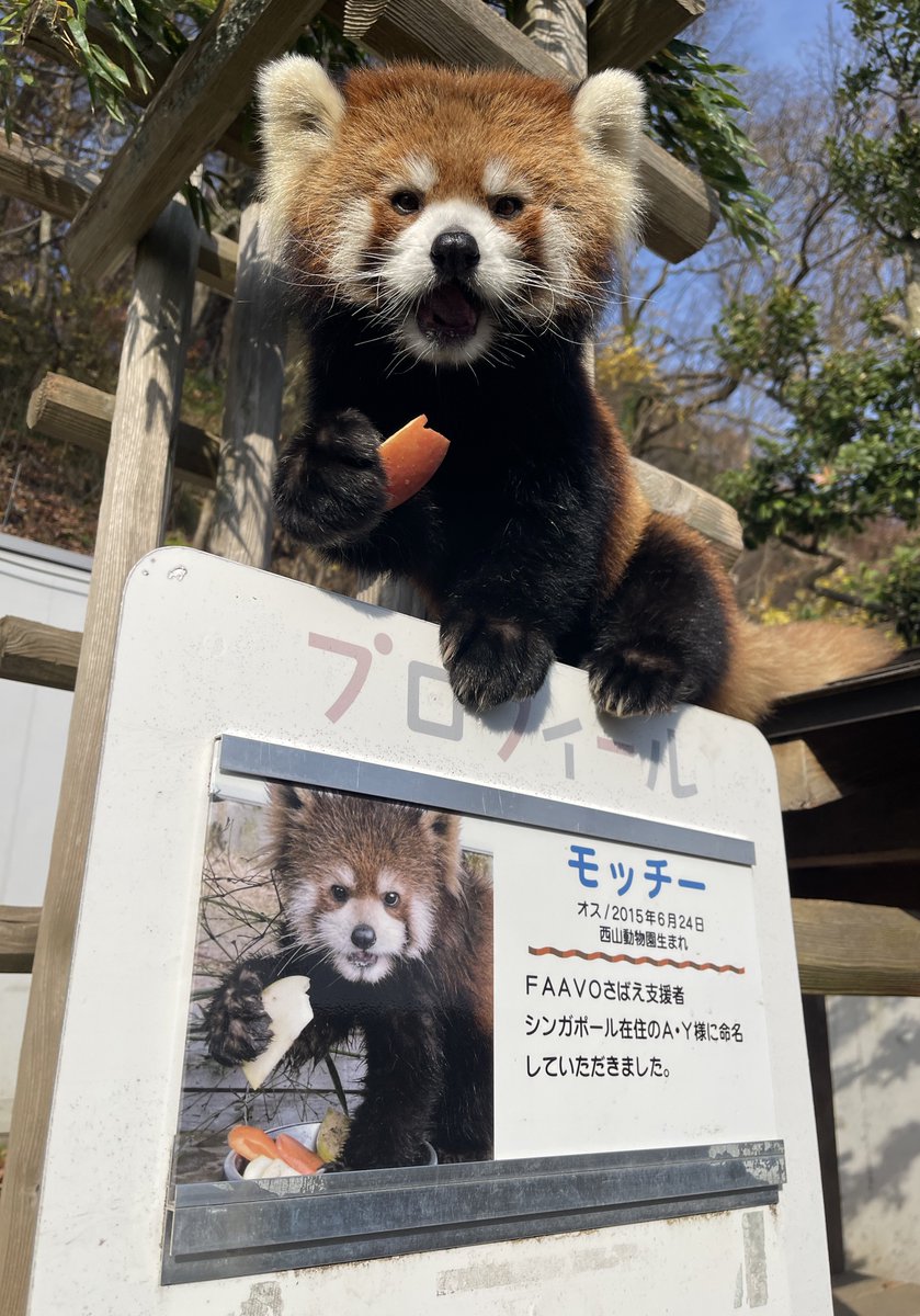 つっち～♪@レサパン溺愛中(♡˙︶˙♡) (@LMystar238) / Posts / X