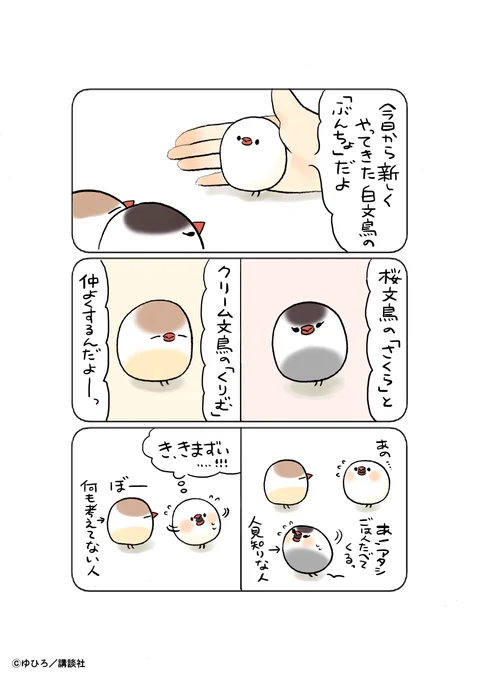(2/3) 