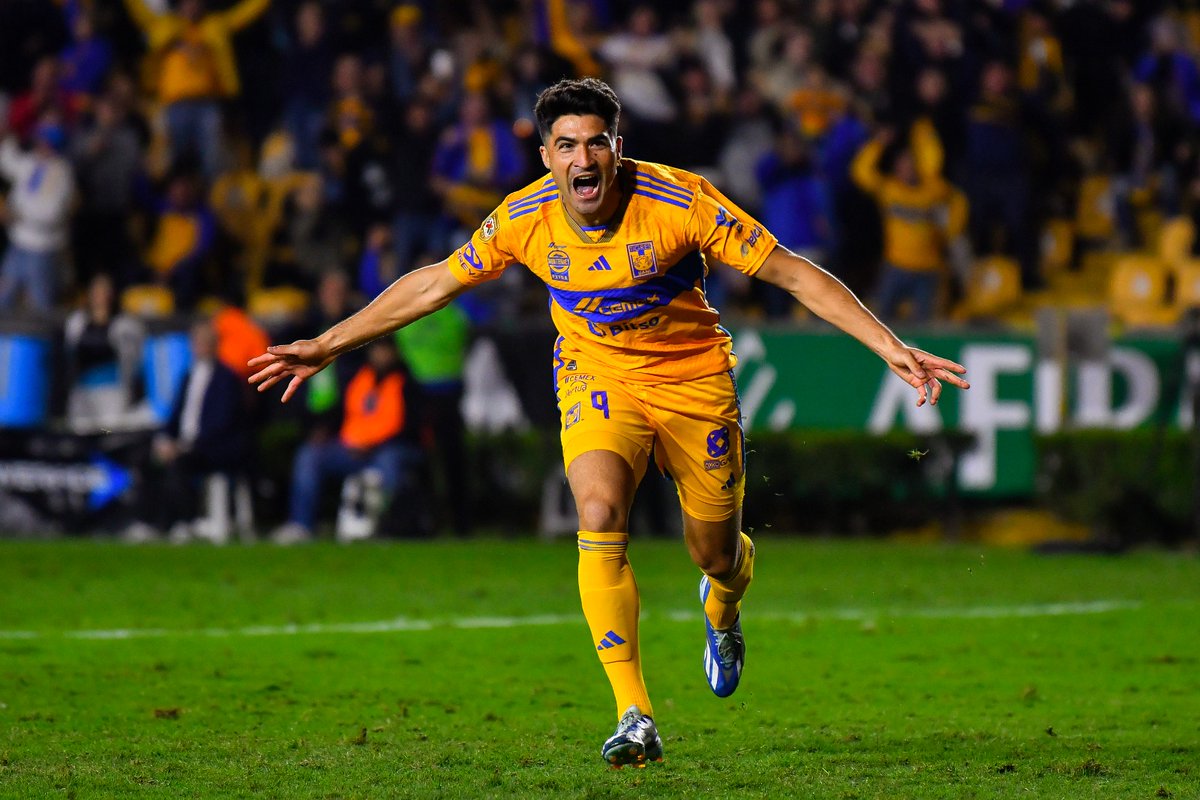 Potosino 🟡💙🔴 tweet media