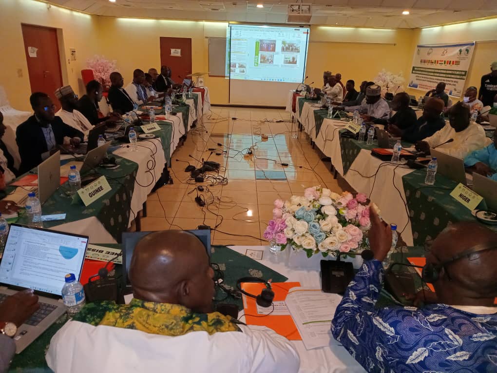 P2-P2RS - The Gambia tweet media