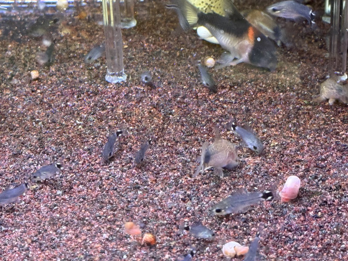 おはようございます！
今日もよろしくお願いします😁