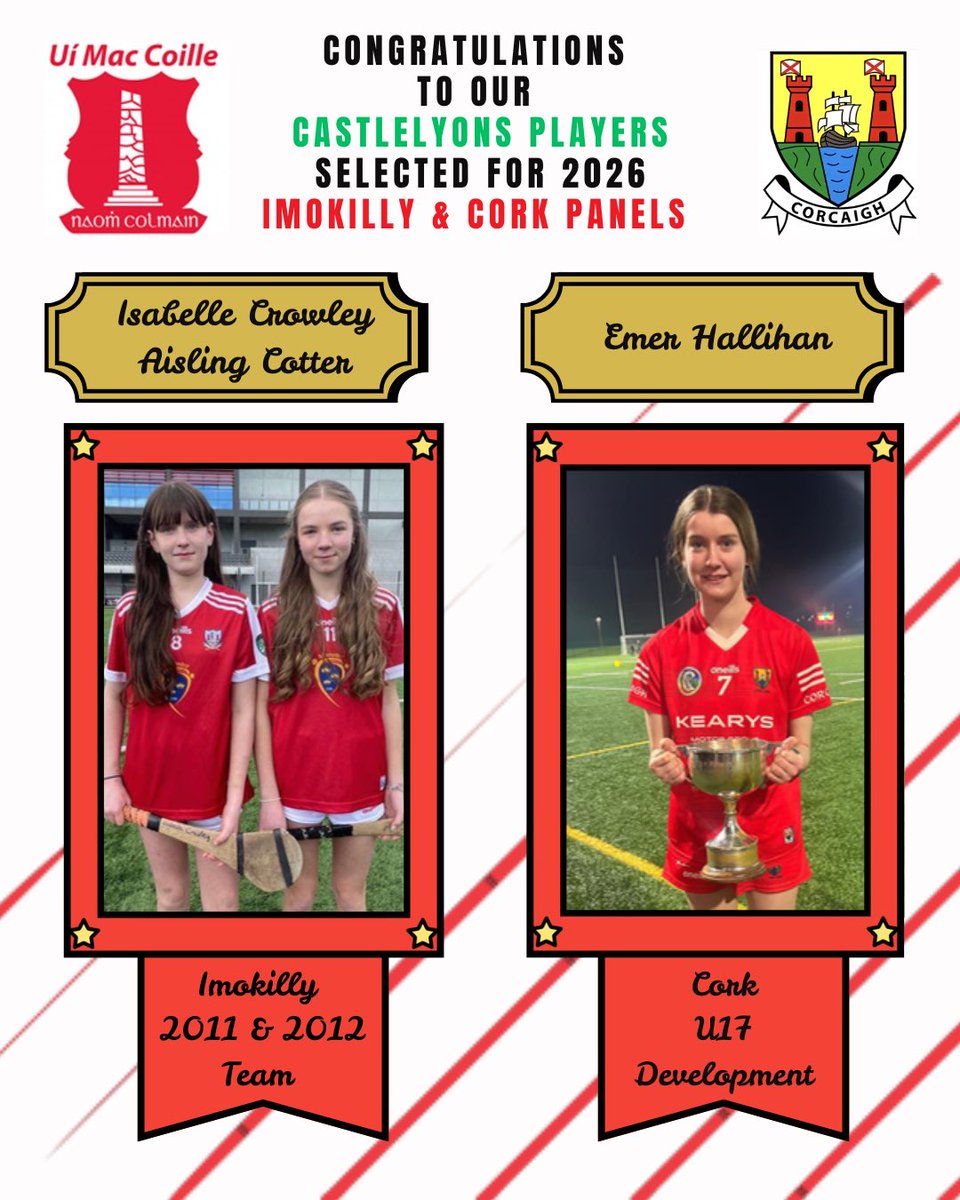 Castlelyons Camogie Club tweet media