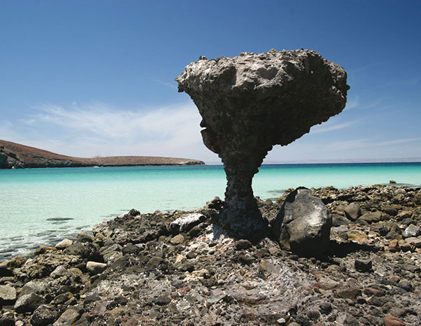 Cusmamx's tweet photo. Playa Balandra tiene una famosa formación de roca llamada “El Hongo”. ¿La conoces? 
https://t.co/lHqgNqbf9B 👈
-
-
-
-
-
-
-
-
-
-
#cusmamx #playabalandra https://t.co/eXxzvLtbVh