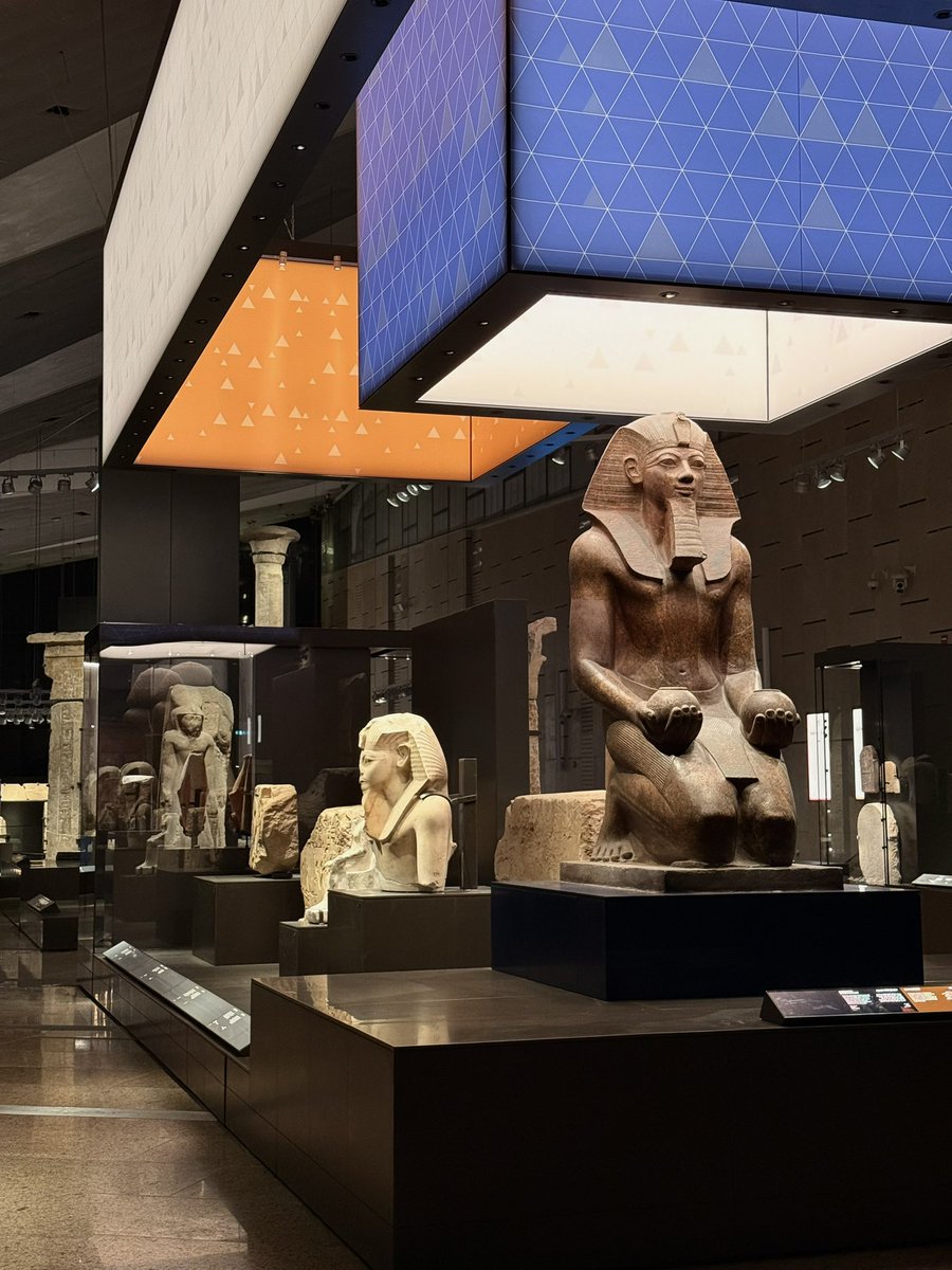 Olivia.S.Mitchell tweet media