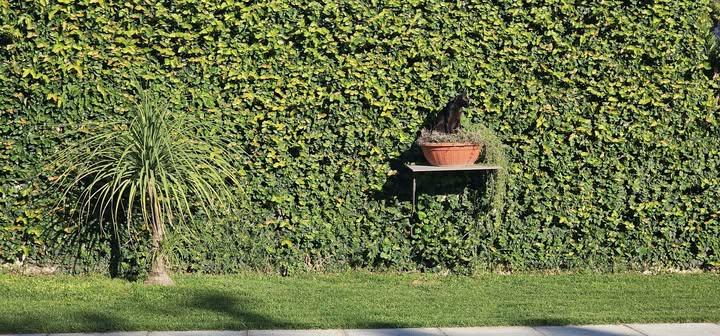 Mira lo tranqui que está