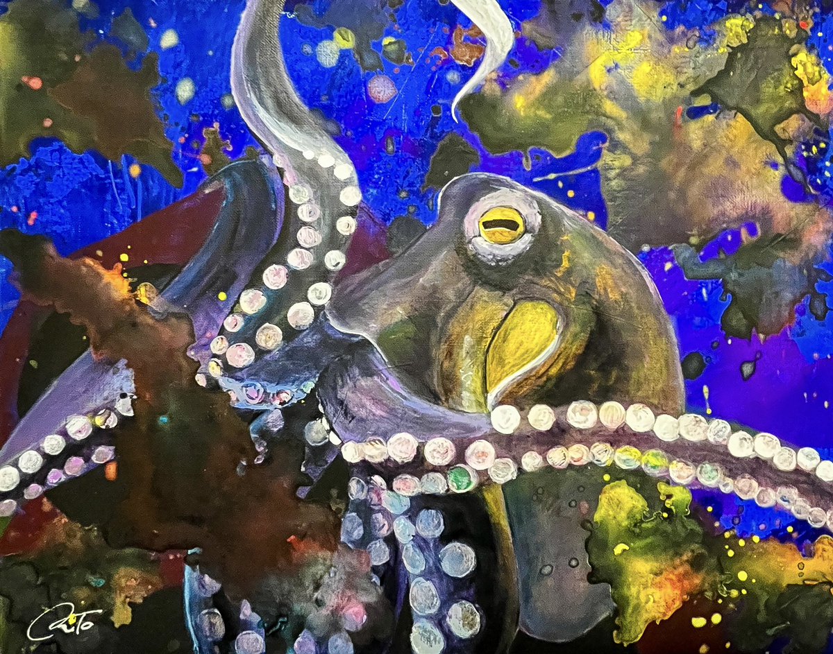 おはようございます！！ 今日の21時から写真のタコをはじめ、4作品の