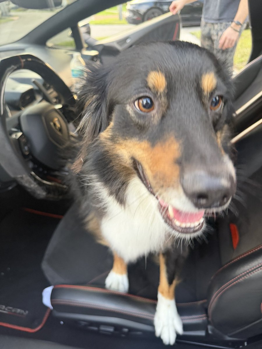 Alex Sedlak tweet media