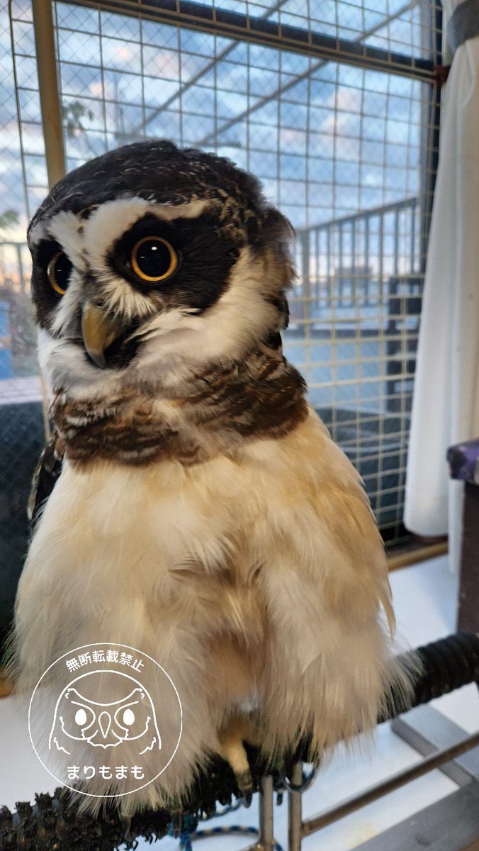 まりもね MORIWAKI ONLINE SHOP.