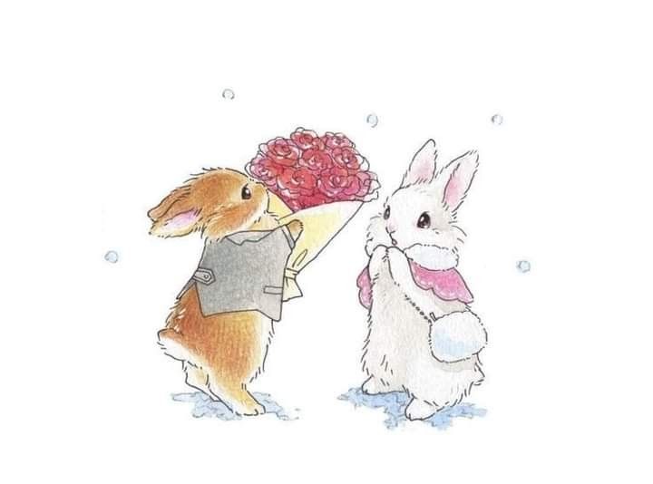 cutedreamvibes's tweet image. 