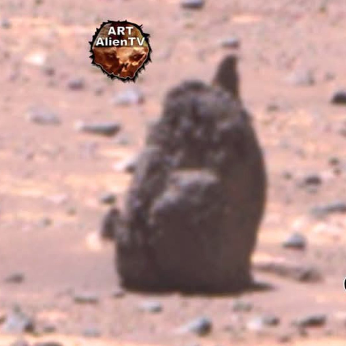 4biddnKnowledge's tweet image. Mars - Perseverance Rover Image.
Rock Height around 7 inches.
JPL-CALTECH. Anomaly hunter @ArtAlienTV  - Source link in comments.