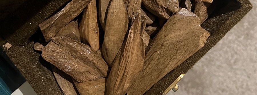 " متخيّلك أطيب اللي من على الأرض طاب 
ولقيتك .. أطيب من اللي كنت متخيّله "

-  الهقوه اللي بحلهّا ❣️❣️❣️-