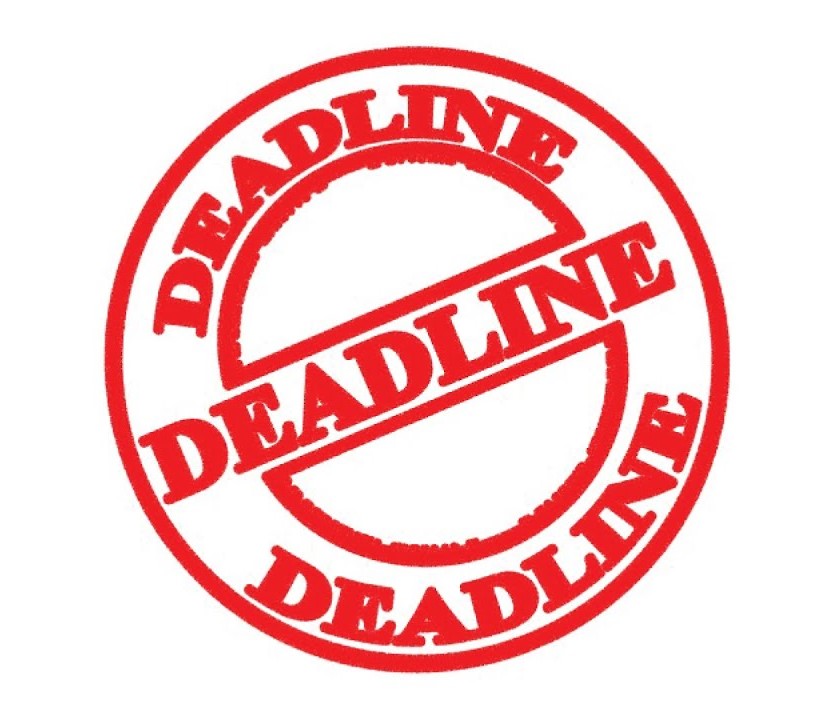 LP Tunes tweet media