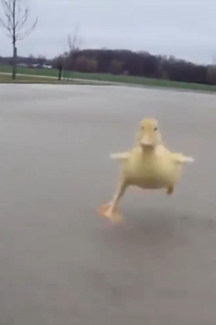 airbakerosss tweet media