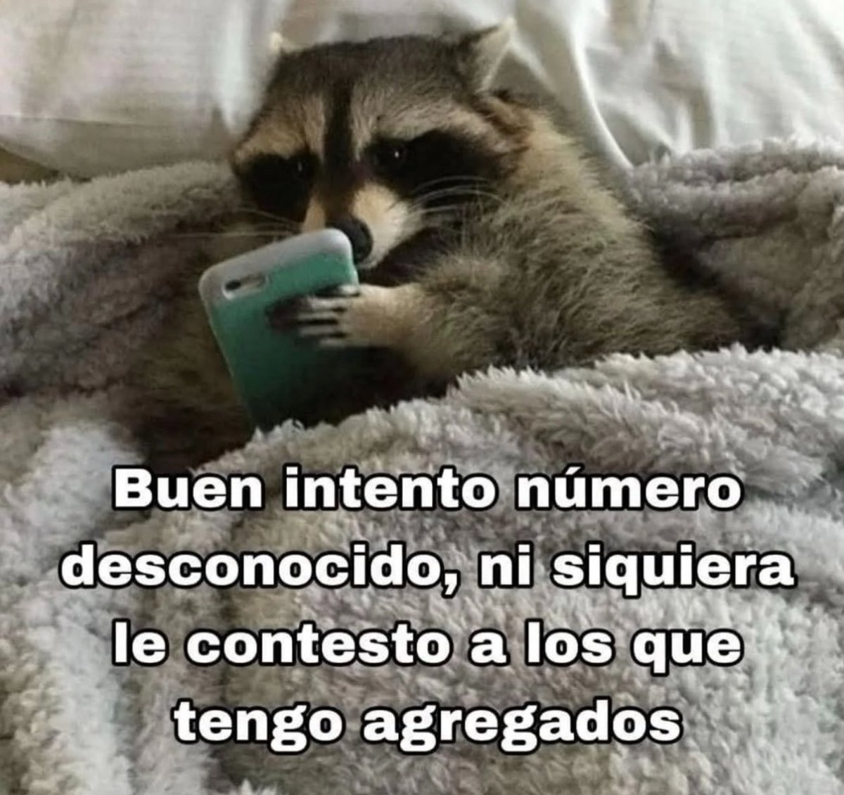 𝗧 𝗲 𝘅 𝘁 𝗼 𝘀 𝗡 𝘂 𝗯 𝗹 𝗮 𝗱 𝗼 𝘀 ☁️ (@textosnublados) on Twitter photo 