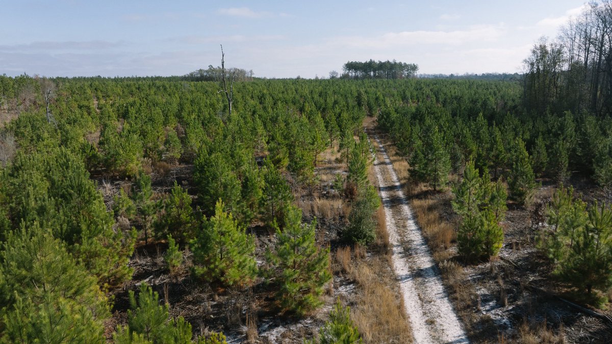 BarnettMedia tweet media