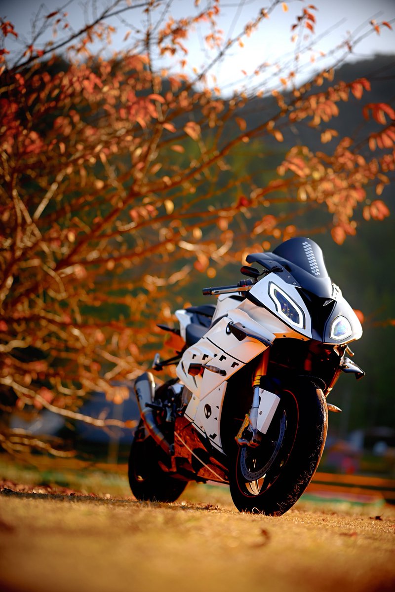 幻の1気筒 ゆうたです (@zx25r_488) / Posts / X