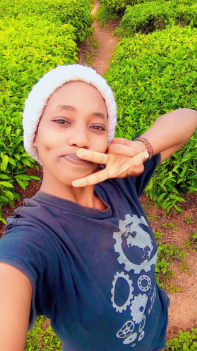 Book Ten tweet media