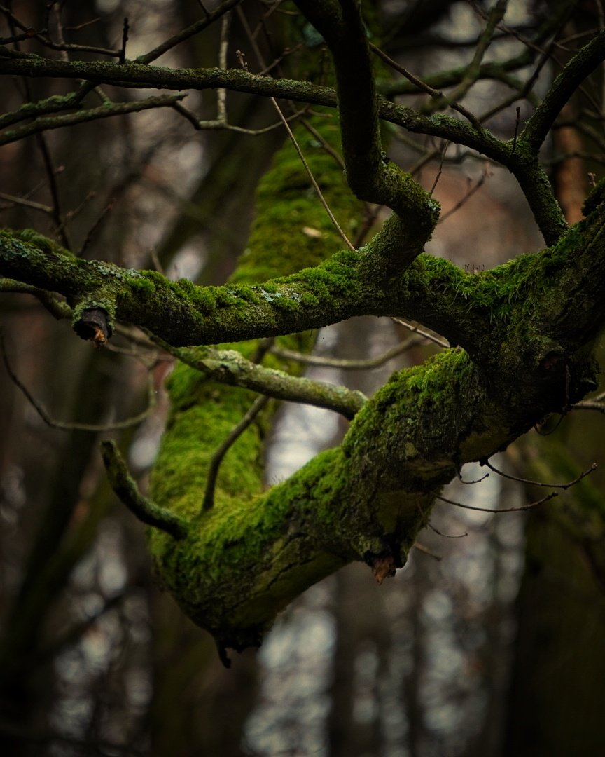 Marek Czartoryski (@markchortsnotes) on Twitter photo 