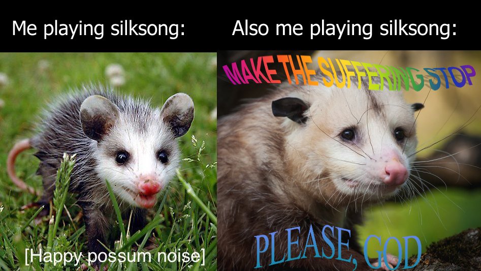 I have two sides playing this game #silksong #hollowkinghtsilksong