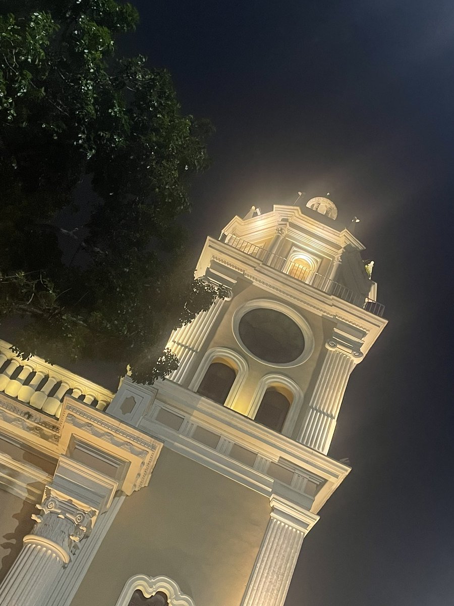 Rebeca Figueredo tweet media