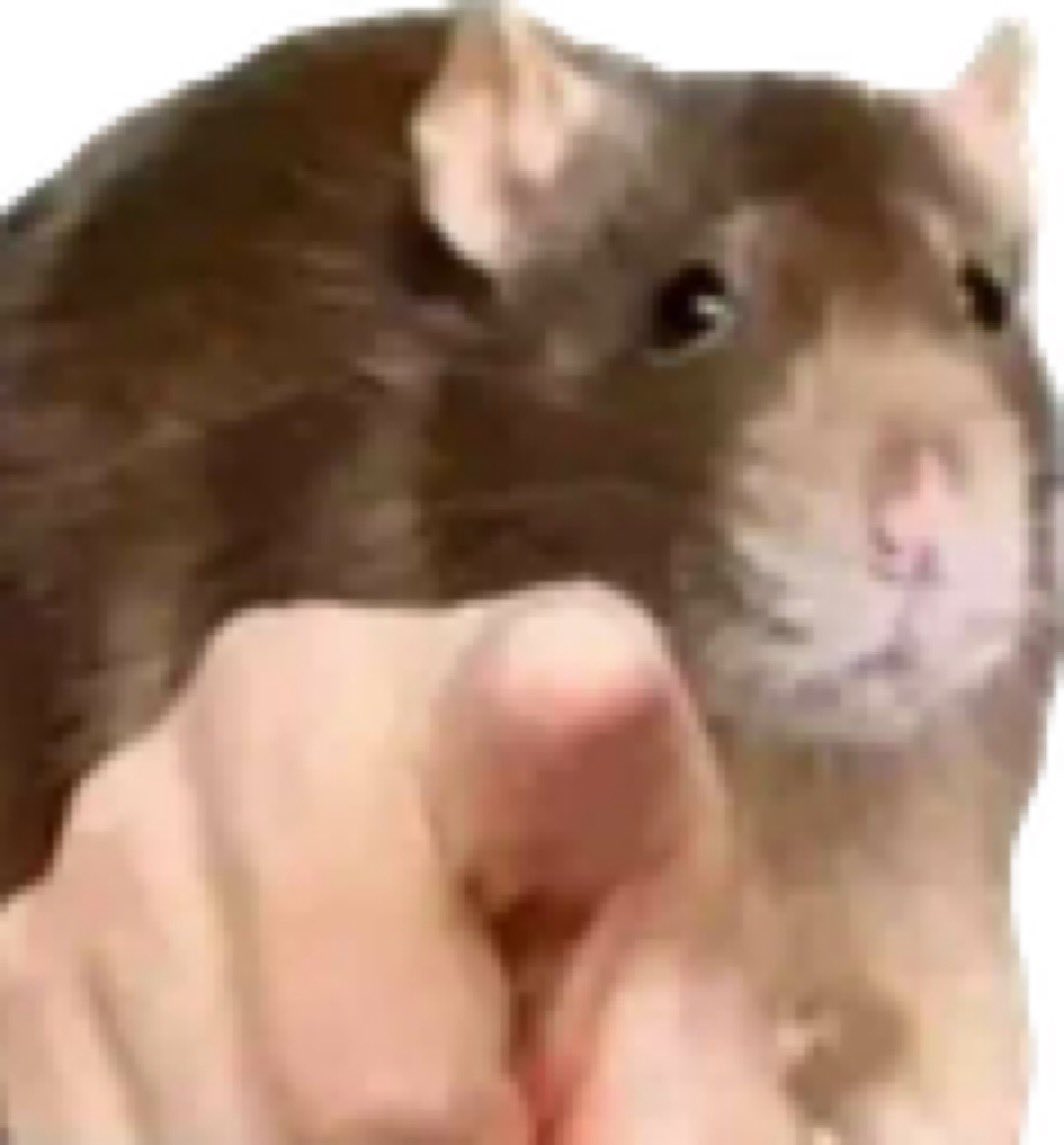 The Lightshow Podcast tweet media