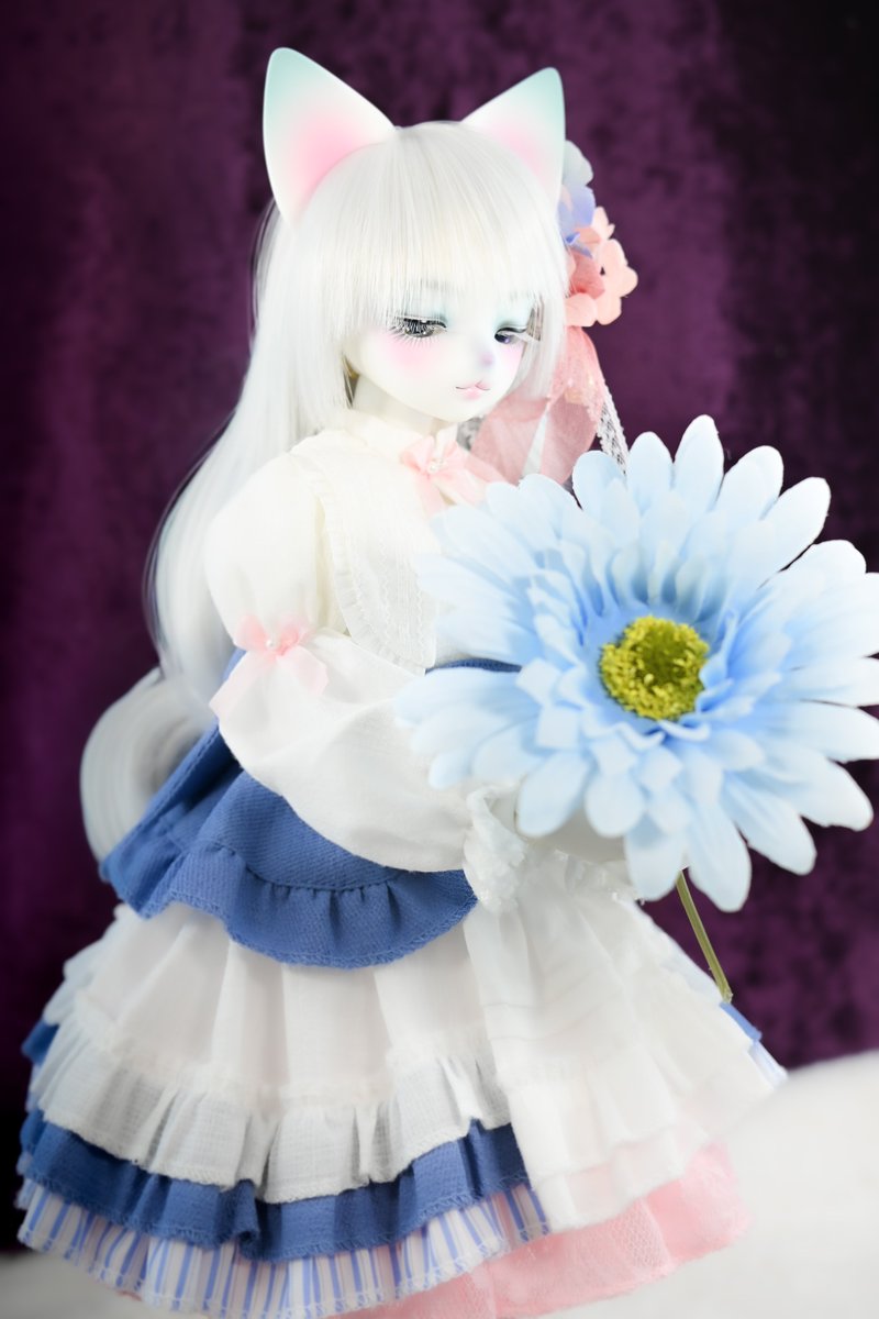 もっふらいで〜😺🐾🎵

今年もあとわずか体調を崩すことなく元気に年を越しましょー😆
#うちのこかわいい  #DearMine