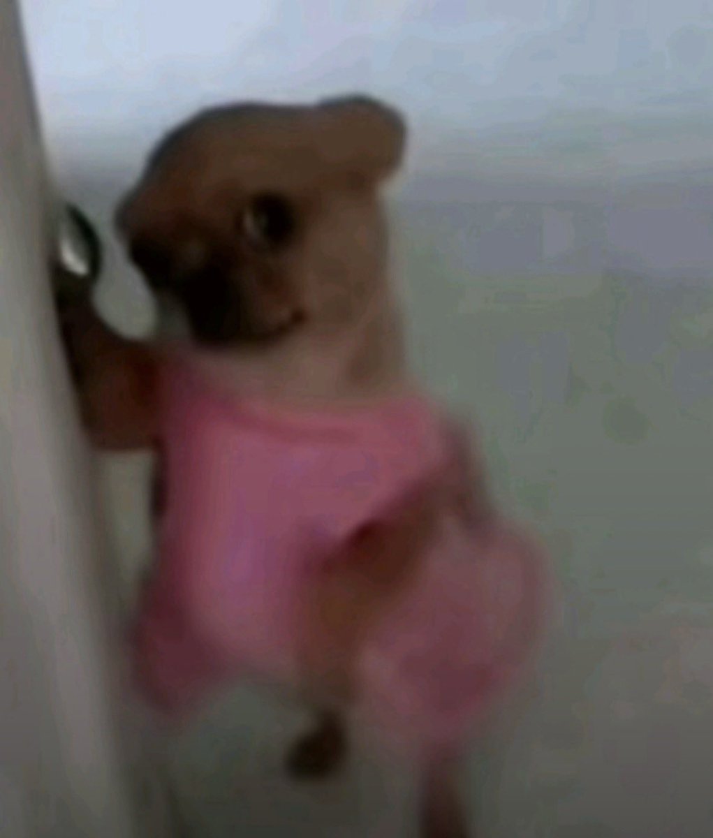 Briightliights tweet media