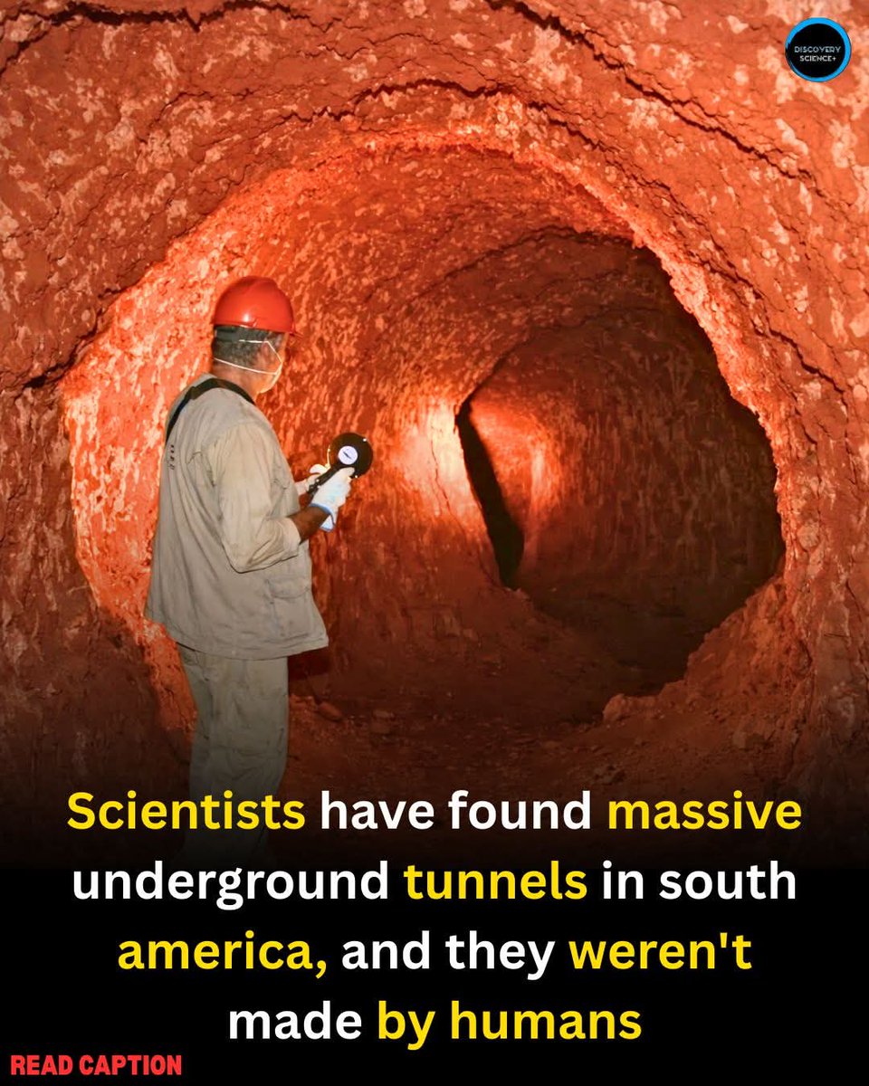 4biddnKnowledge's tweet image. Scientists in South America have uncovered massive underground tunnels carved deep into solid rock that were not made by humans. Known as paleotunnels, they feature smooth walls, claw-like scrape marks, and chambers large enough to walk through.
Researchers believe extinct giant…