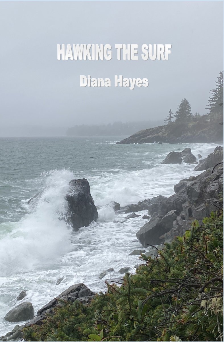 silverbowpub's tweet image. Award winning author Diana Hayes new release HAWKING THE SURF available to order at your local retail bookstore through INGRAM DISTRIBUTION