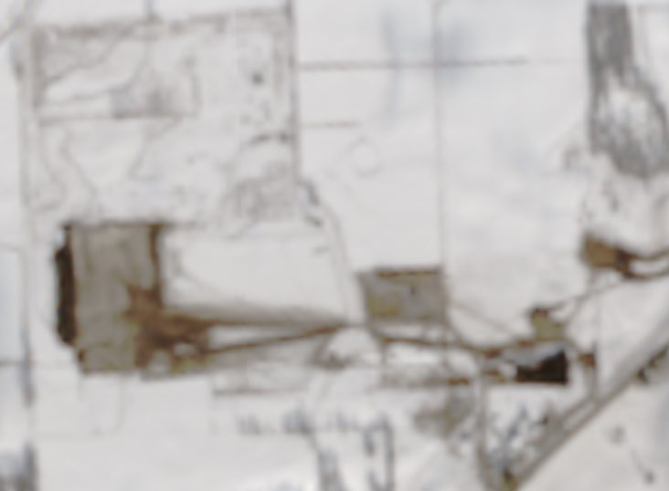 Javier Reyes tweet media