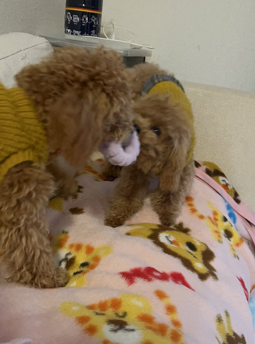 かずちゃん (@kazu13chan) / Posts / X