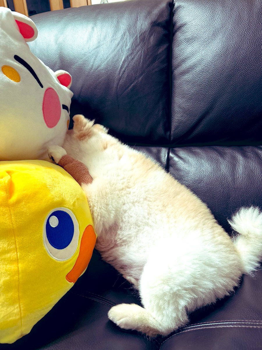 スラりん (@surarinrin7) / Posts / X