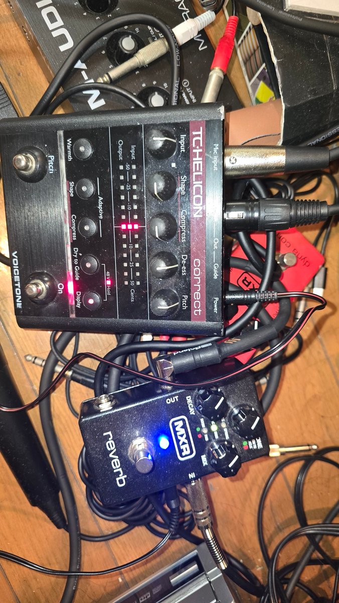 公式】はむつんサーブCREW／【Official】HAMUTSUN_SERVE CREW