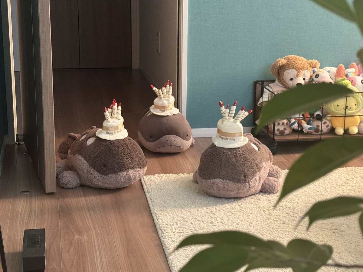 appledoohdooh's tweet photo. おはようございます☀️

朝起きたらどおちゃんが
いなかったので探していたところ

『ハッピーバースデートゥーユー🎈』の
お歌を歌いながら
サプライズ登場してくれました🥳

私事ですが本日Lv.28になりました！

最近多忙で中々投稿できておりませんが
今後ともあっぷるを
よろしくお願いします🙇🏼 https://t.co/0GqEogRAIF
