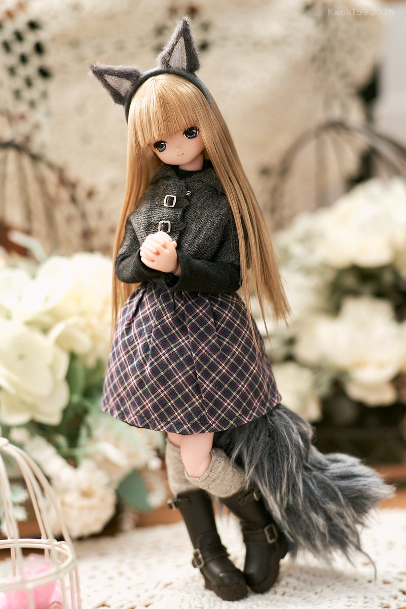 私の最初のえっくす☆きゅーとはこもれび森のどうぶつたち♪ぎん