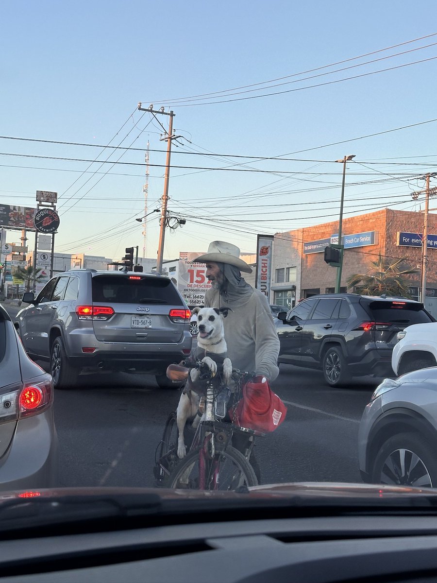 Hermosillo Out Of Context. tweet media