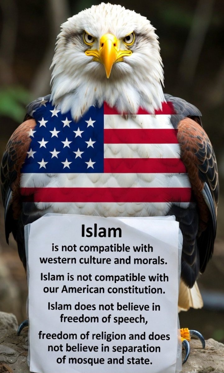 🇺🇸 *MaK* 🇺🇲 tweet media