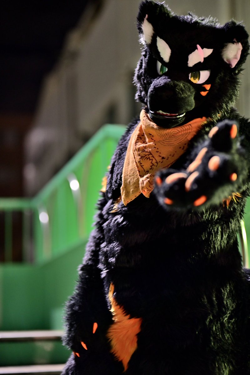 夜の街へ

📸： <a href="/ZERO1536/">ZERO</a> 
#FursuitFriday