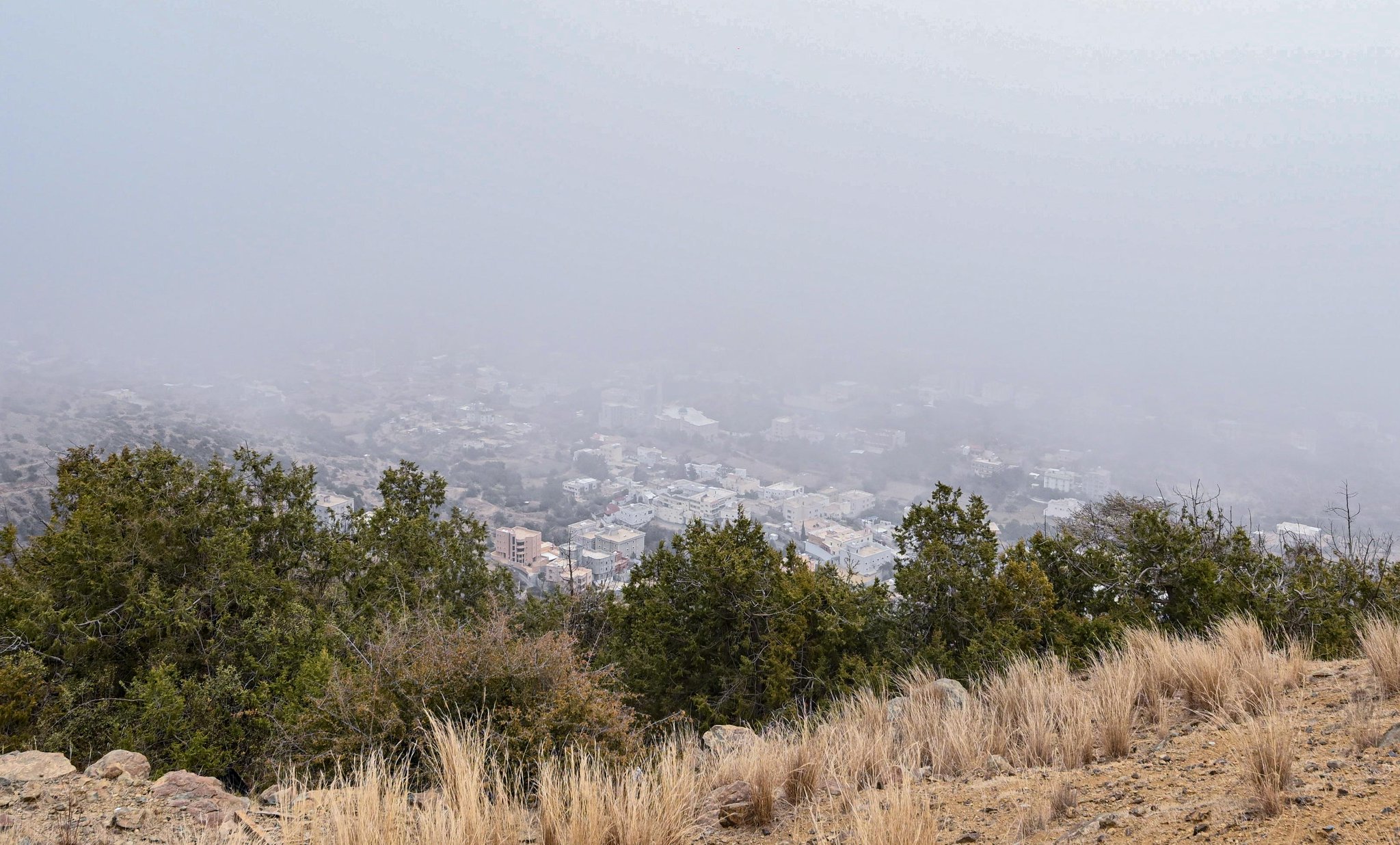 ضباب الباحة يرسم لوحات شتوية آسرة #معكم_باللحظة 