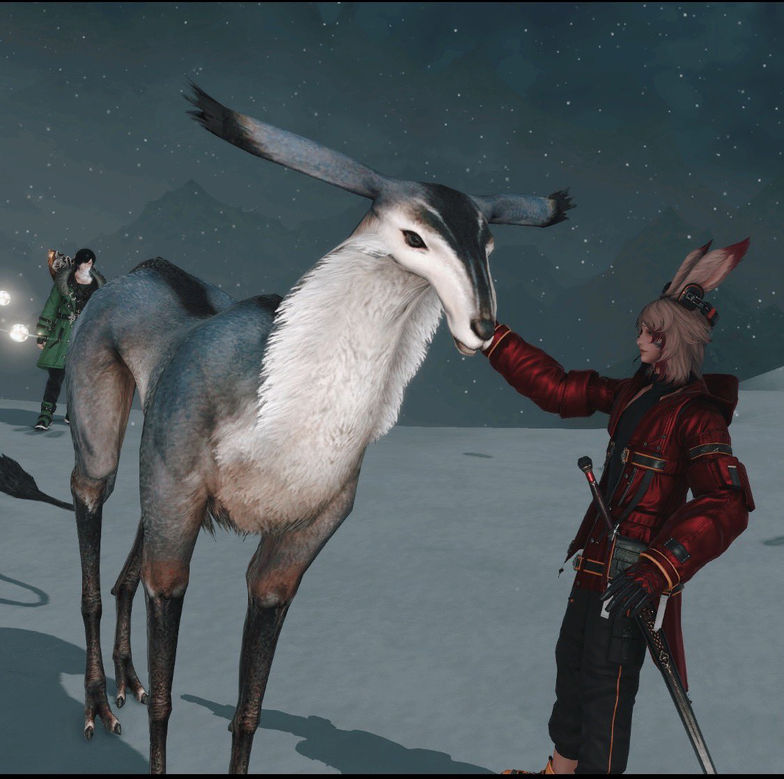 Elsgared tweet media