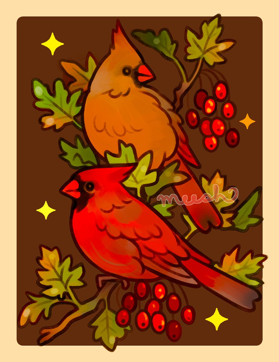 m e e s h 🕊 tweet media