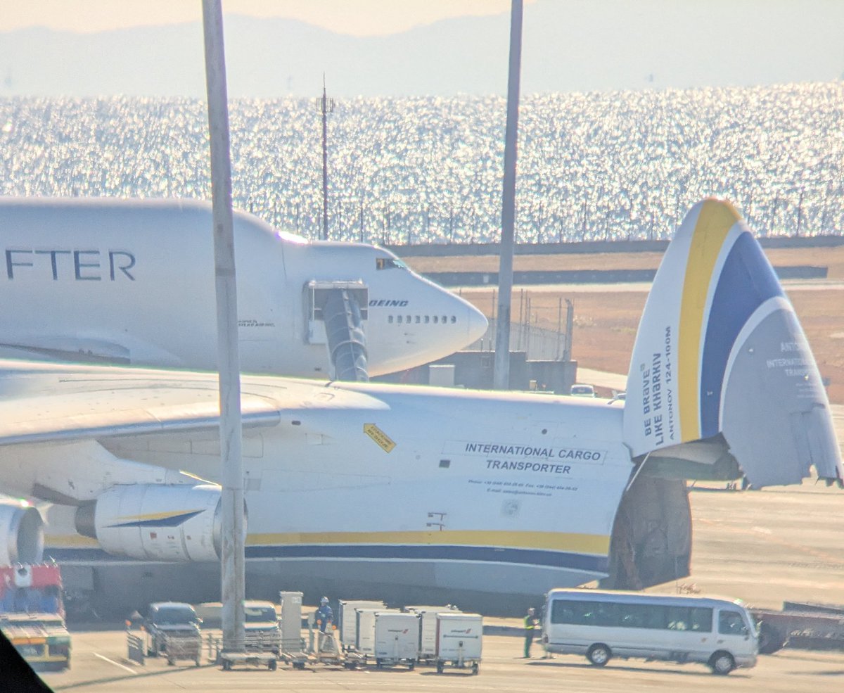 むーちゃん😺 (@x6WJUZukNik0Ov2) / Posts / X