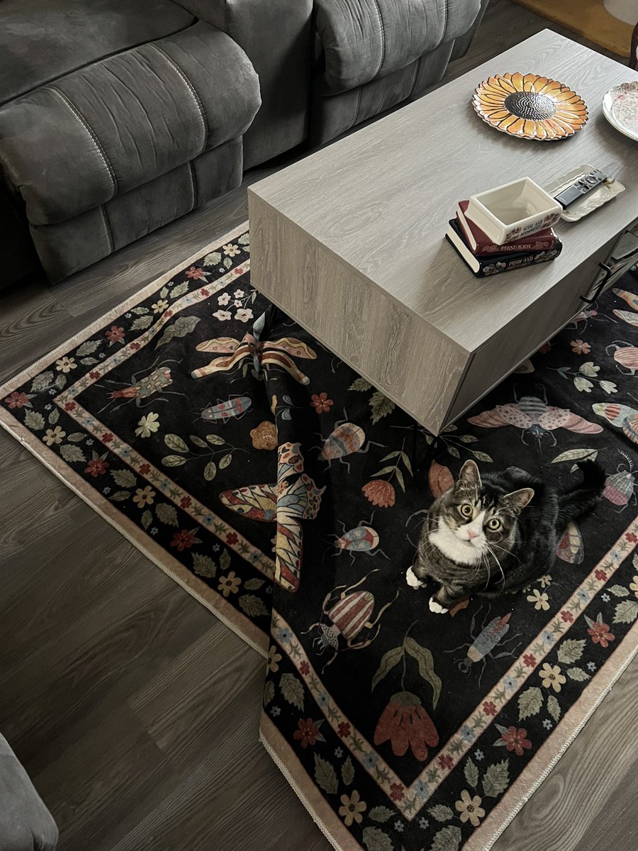 hey gorl someone funked up your rug