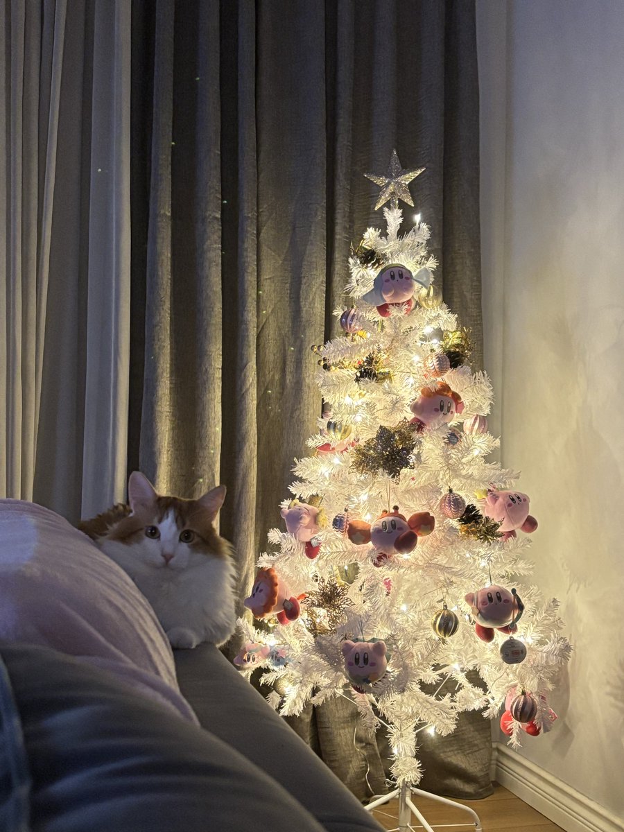 Charo 👩🎨👑 (Live2D artist) チャロ姫 tweet media